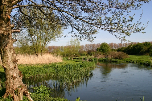 Lower Itchen Fishery river scene