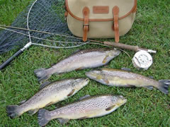 Lower Itchen Fishery for fly fishing one of the finest chalk stream rivers