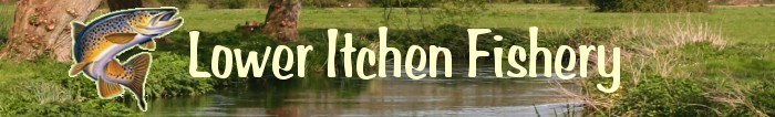 Lower Itchen Fishery Ltd - Fly Fishing