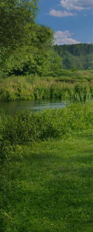 green watermeadows