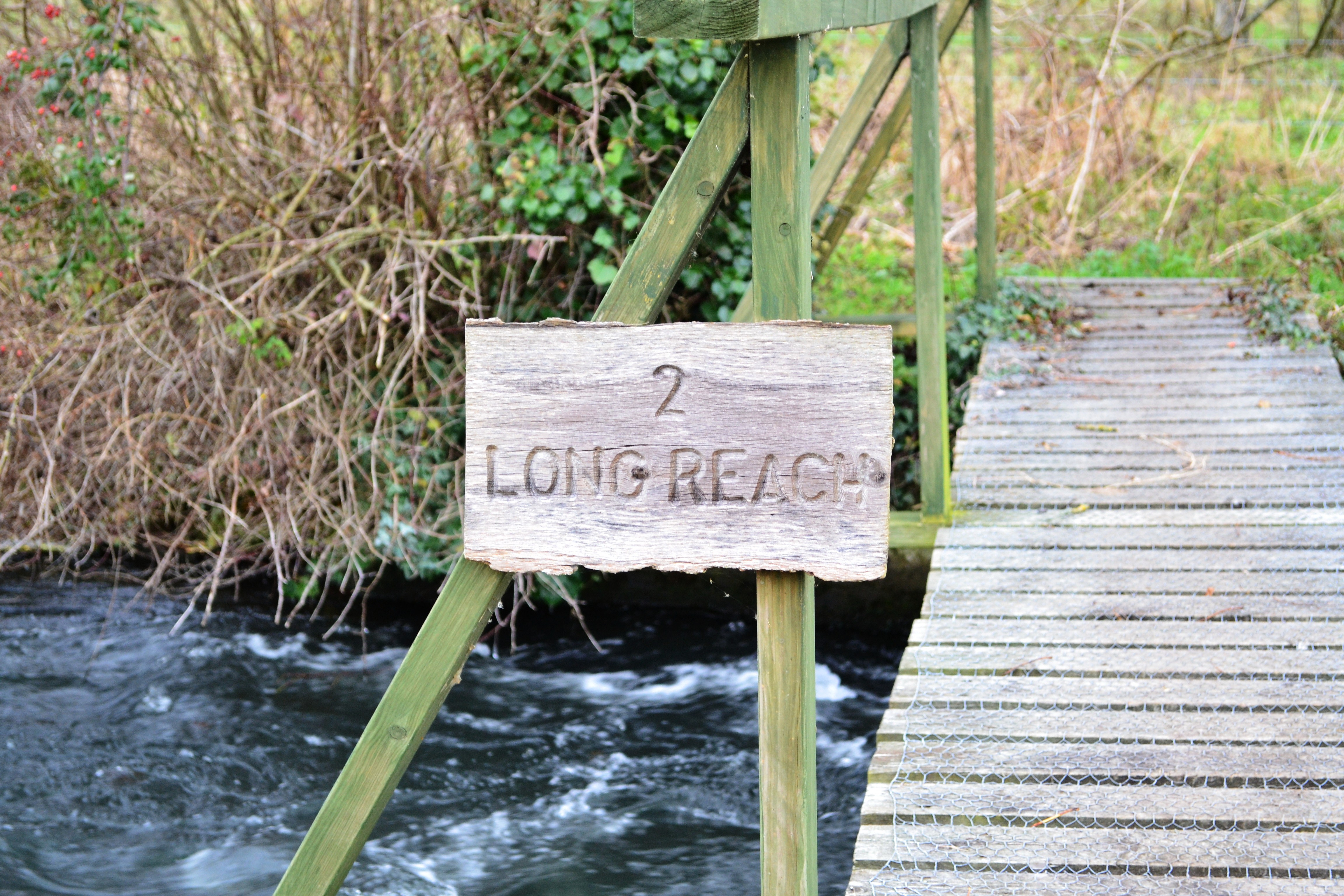 fishing sign