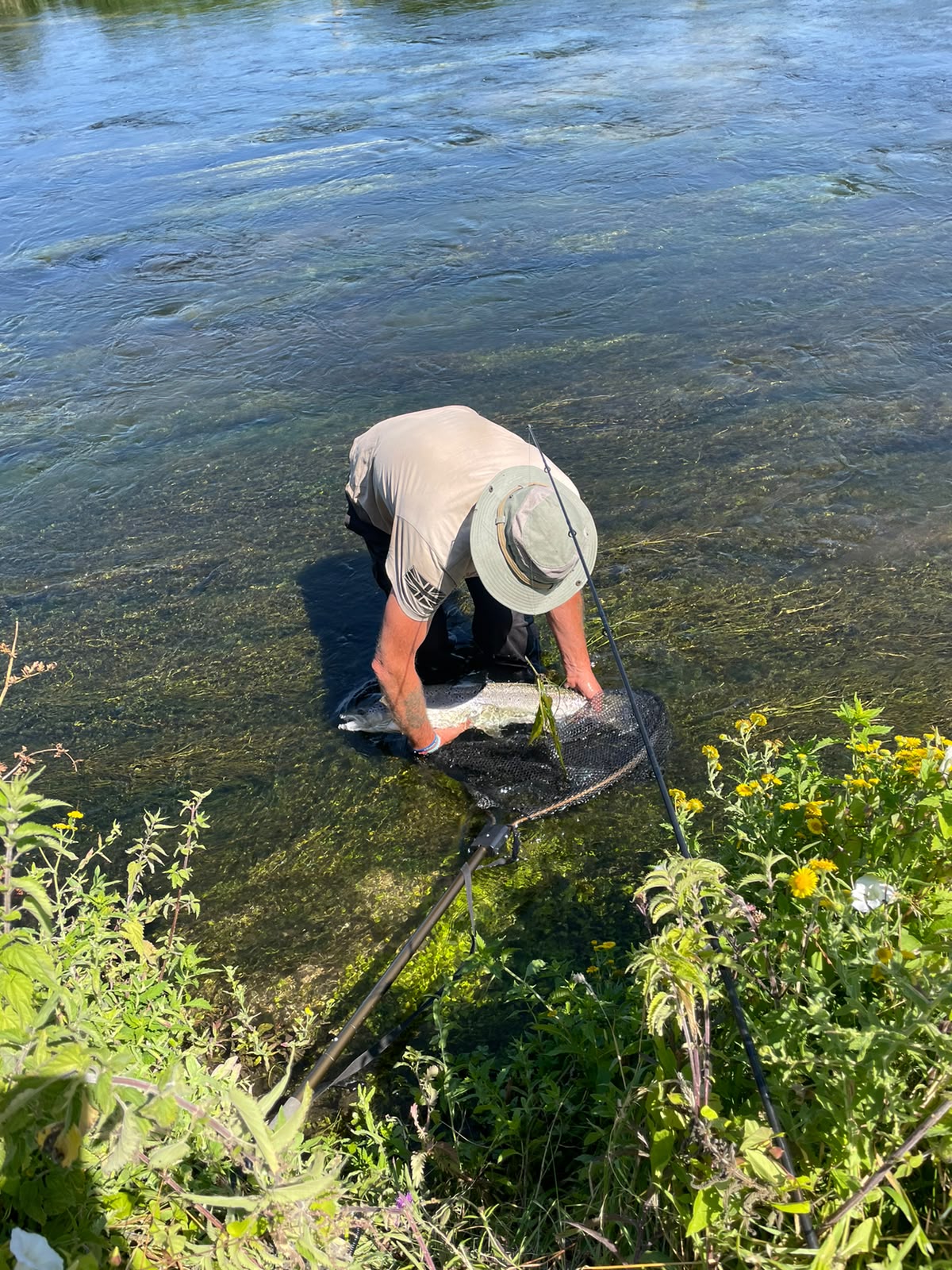 Man holding Salmon