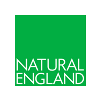 NE